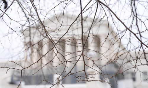 Congreso de EEUU debate posibles consecuencias para ICE y Noem tras asesinato de Renee Good