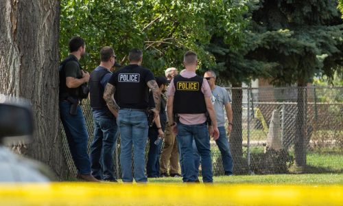 Driver shot in Minneapolis is at least the fifth person killed in US immigration crackdown