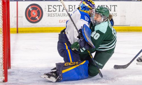 Boston Fleet edge Toronto, 2-1, during PWHL action in Lowell