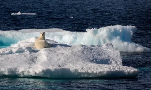 Greenland Should Talk to US Without Denmark, Opposition Leader Says