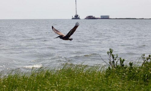 Record $9.6 million fine for Third Coast after substantial oil spill in the Gulf of Mexico