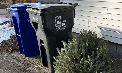 East metro options for holiday tree and decor disposal vary