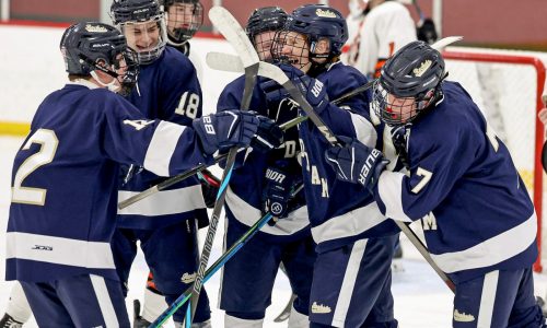 Freshmen lead way for Needham in pivotal boys hockey victory over Newton North