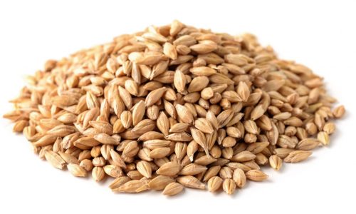 Recipes: These grain-based dishes are great for your diet and budget