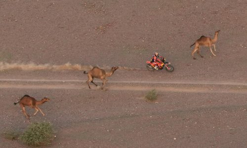Al-Attiyah recupera liderato del Rally Dakar y penalización de Sanders da triunfo a Brabec en motos