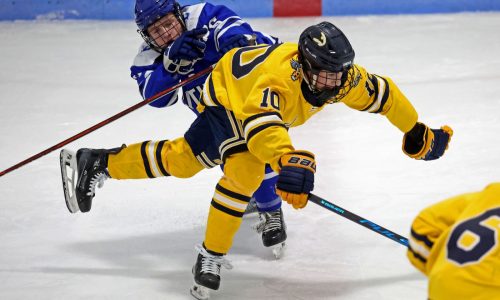 High school roundup/scores: Naya Annigeri masterful for Medfield, records triple-double