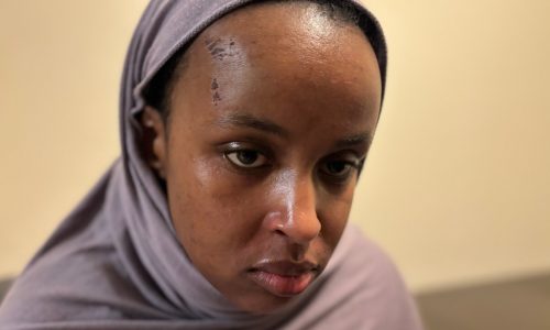 St. Paul woman, a U.S. citizen, recounts her two days in detention