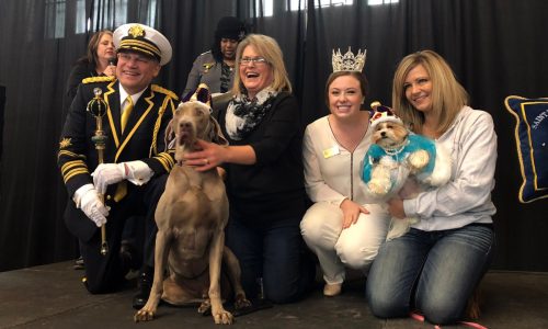 Vote now for canine royalty of the St. Paul Winter Carnival and Doggie Depot