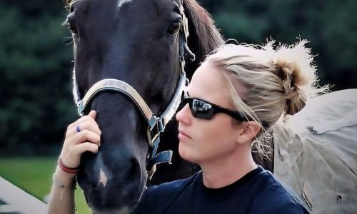 Jett the former St. Paul police horse ‘fought hard’ but has died, owner says