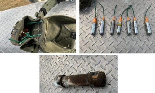 3-year federal prison term for alleged ‘sovereign citizen’ found with ‘cricket’ bombs after east-metro arrest