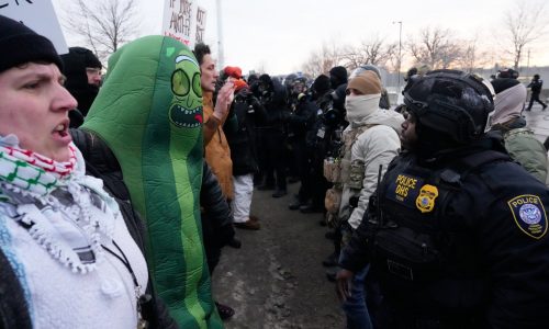 Red Wing man dons a pickle costume to protest ICE
