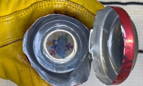 Video: Watch as we hide the 2026 Pioneer Press Treasure Hunt medallion