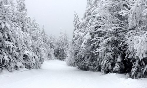 Ski Wednesday: Okemo’s a place where memories are made