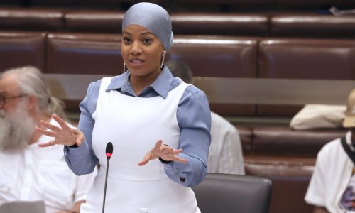 Out of jail, Tania Fernandes Anderson spills the tea on shocking Boston City Council president vote