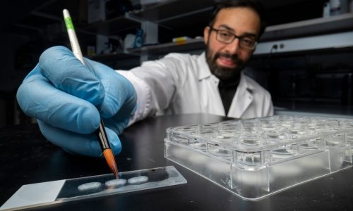 ‘Memory manipulation is inevitable’: How rewriting memory in the lab might one day heal humans