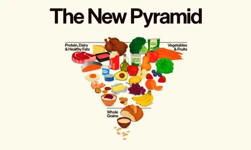 What to Know About the New ‘Upside Down’ Food Pyramid
