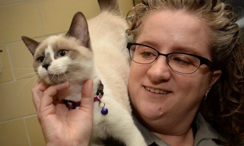 St. Paul Animal Control likely to become ‘Animal Services’
