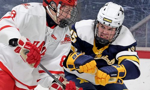 Division 1-2 high school boys hockey preview