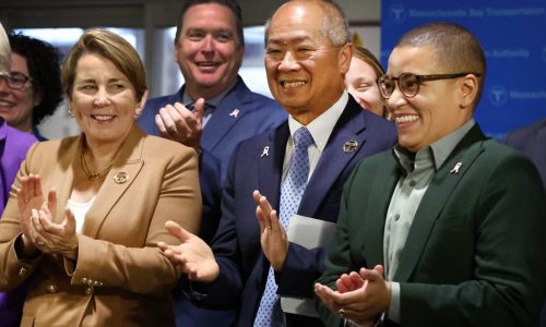 Pols & Politics: Healey Tweaks Tibbits-Nutt