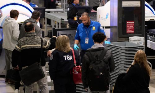 Agentes de la TSA trabajan sin cobrar en aeropuertos de EEUU por otro cierre de gobierno