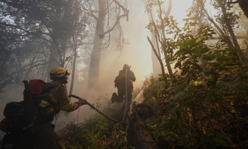 Incendios en Argentina arrasan bosques de la Patagonia y avivan críticas a la austeridad de Milei