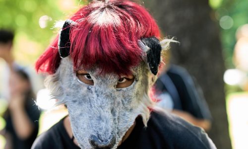 Adolescentes “therians”: una tendencia viral en Argentina que despierta atención y desconcierto