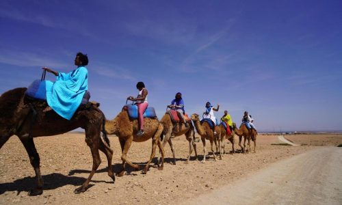 Whether it’s a mini-sabbatical or an adult gap year, more people are taking extended work breaks