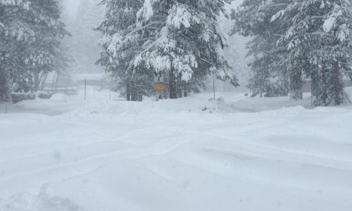 Equipos buscan a esquiadores en zona remota tras avalancha en montañas de California