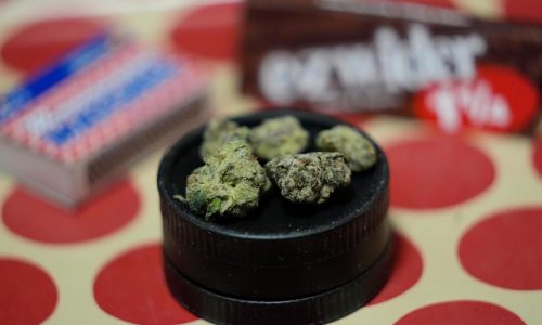 Massachusetts cannabis regulators agree to explore licensing freeze