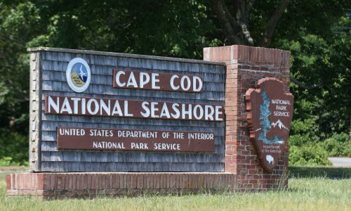 Woman drowns after falling through ice in Cape Cod, authorities search for husband
