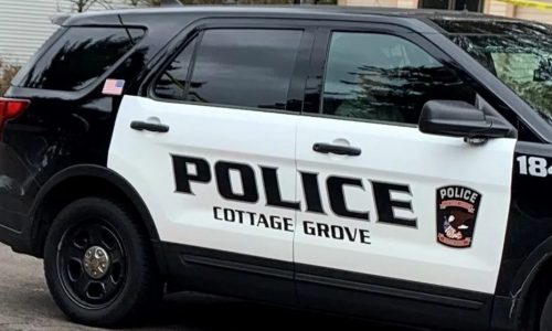 Man wielding butcher knife at Cottage Grove Elementary charged