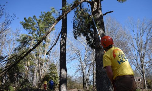 Habitantes de Mississippi llevan casi dos semanas sin electricidad tras tormenta invernal
