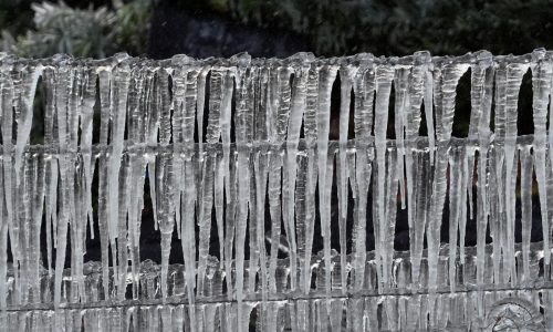 Nueva ola de clima invernal provoca fuertes nevadas y cancelaciones de vuelos en EEUU