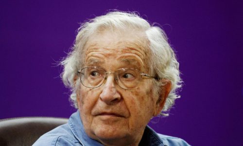 Valeria Chomsky admits ‘serious errors in judgment’ over Jeffrey Epstein ties