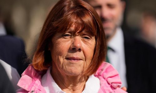 Gisèle Pelicot publicly recounts harrowing discovery of her husband’s rape crimes