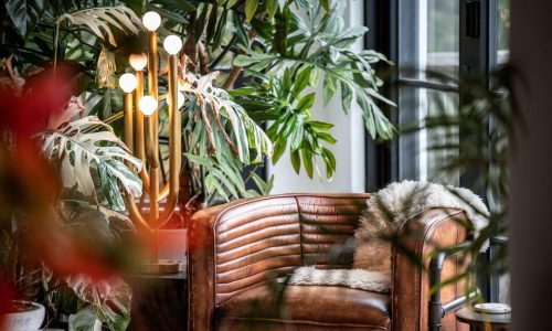 How to create a calming ‘nature nook’ with indoor plants. Advice from Hilton Carter