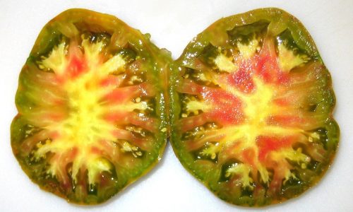 A kaleidoscope of oddball tomatoes to try as seed-starting season nears