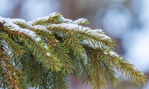 Snow expected across the state Saturday with most in southern and western portions