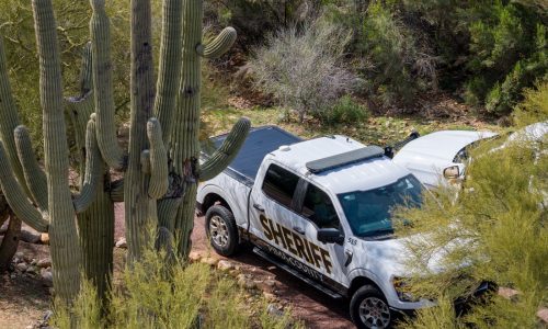 No DNA match on Guthrie glove