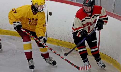 MIAA girls hockey tournament preview: Hingham, Medfield have tough roads to repeat