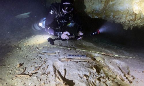 Hallan nuevo esqueleto de hace más de 8.000 años en cenotes del Caribe mexicano