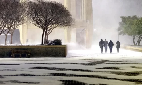 More Winter Weather Leads to Heavy Snow, Canceled Flights And, in Florida, Falling Iguanas