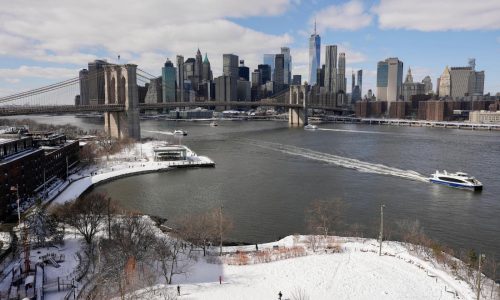 Arrestan a un hombre por pelea de bolas de nieve en que policías de Nueva York resultaron heridos
