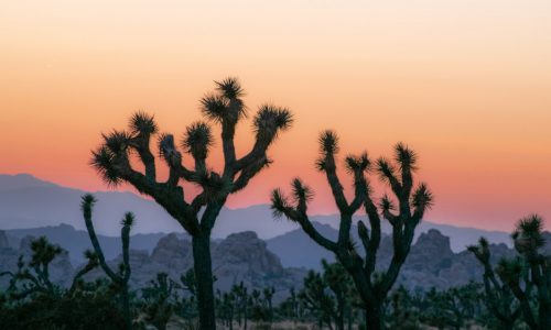 Get into national parks free on Feb. 16 — but there’s a catch
