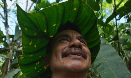 Plantas ecuatorianas, protestas en Argentina y otras fotos de la semana en Latinoamérica y el Caribe