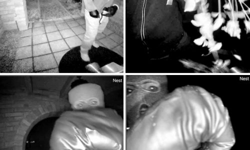 FBI: ADN recuperado de un guante cerca de la casa de Guthrie parece coincidir con el del sospechoso