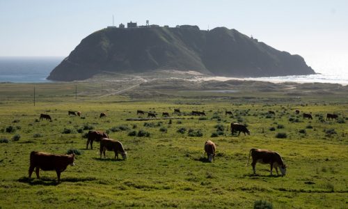 The world’s best honeymoon trips include this California paradise