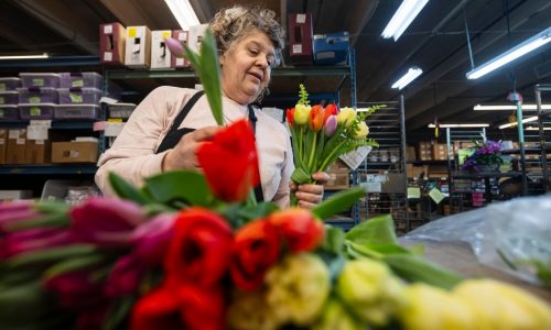 Follow a Valentine’s Day bouquet from Bachman’s to its tearful recipient