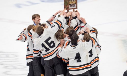 Check out the 2026 Minnesota boys hockey state tournament brackets