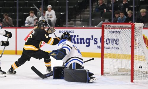 Girls hockey: Dodge County, Warroad form long distance prep rivalry